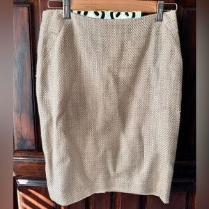 Ann Taylor Pencil Skirt